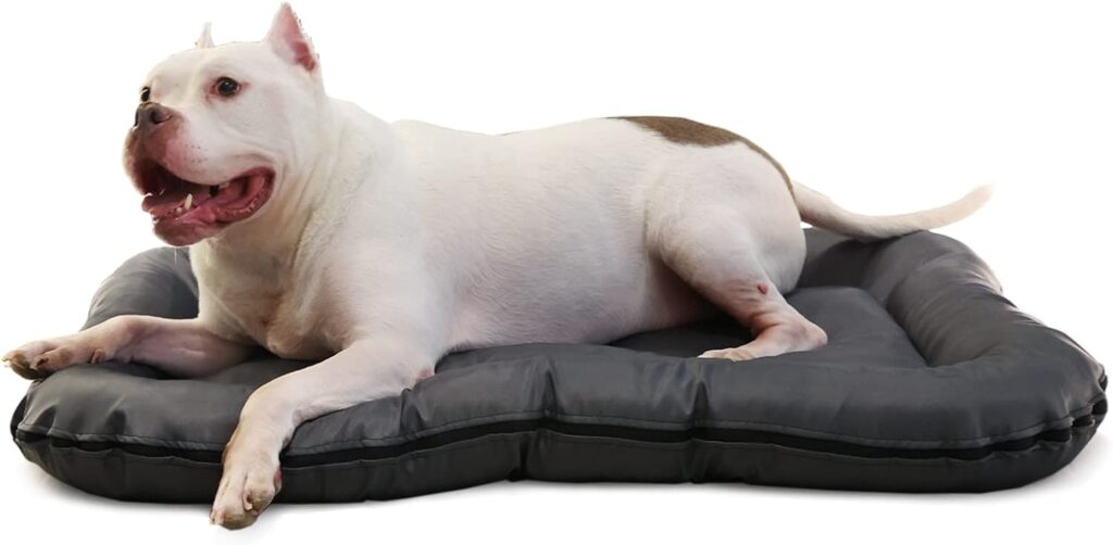 water proof bed for pitbull dogs